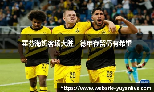 霍芬海姆客场大胜，德甲存留仍有希望