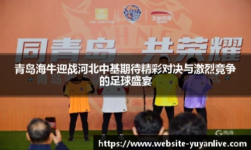 青岛海牛迎战河北中基期待精彩对决与激烈竞争的足球盛宴