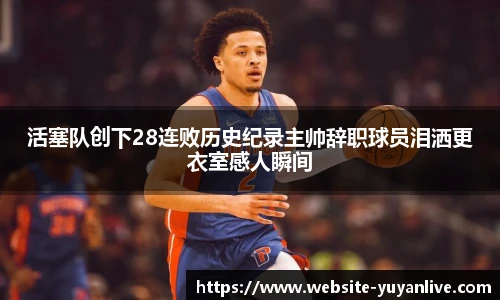 雨燕高清直播