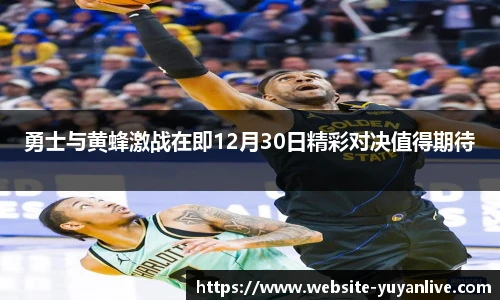 雨燕体育直播