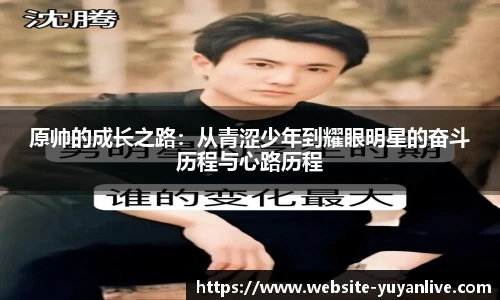 雨燕体育直播